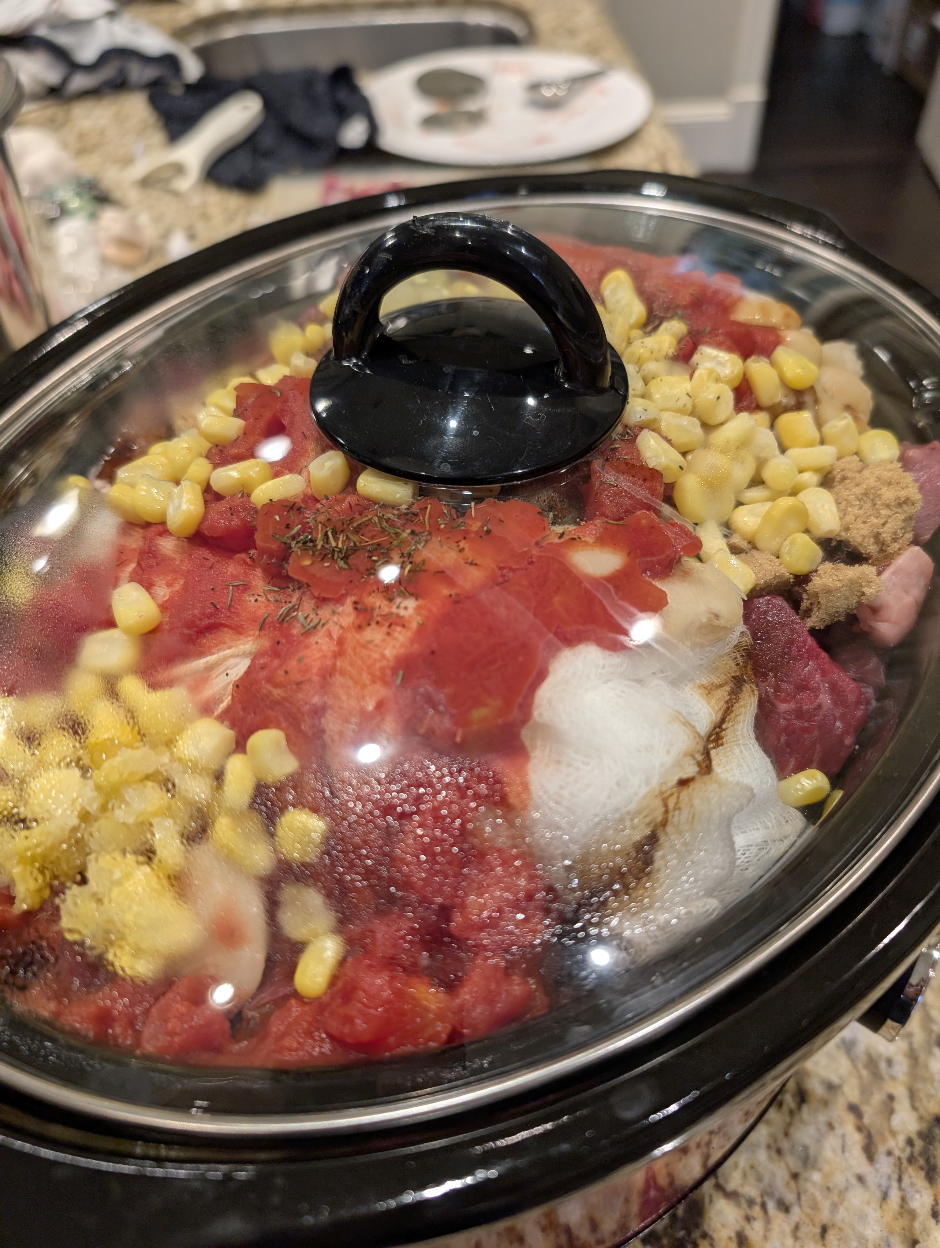 Burgoo in Slow Cooker